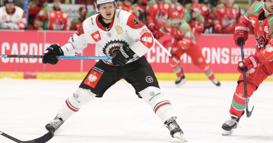 Chl Transfer Coverage