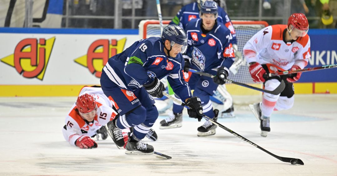 www.championshockeyleague.com