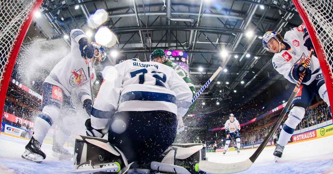 Hockey live stream free online shl shop