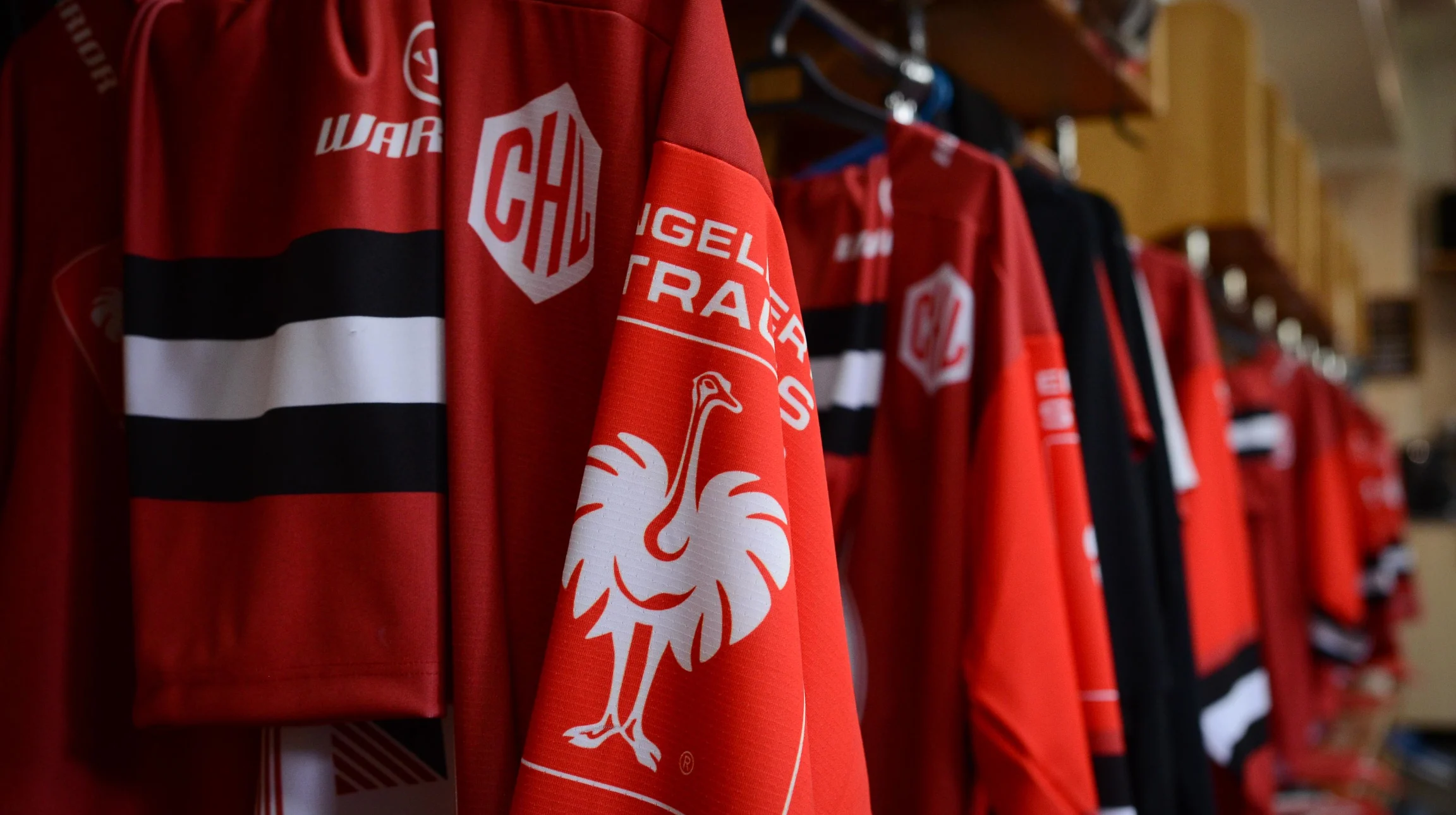 Chl jersey best sale