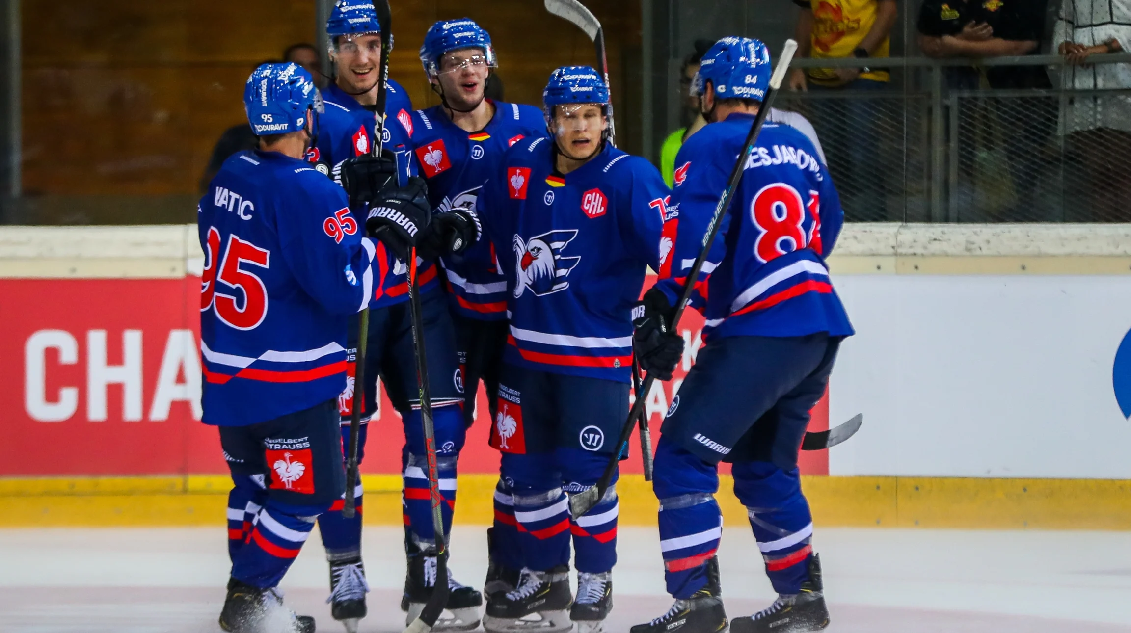 Adler mannheim jersey sales