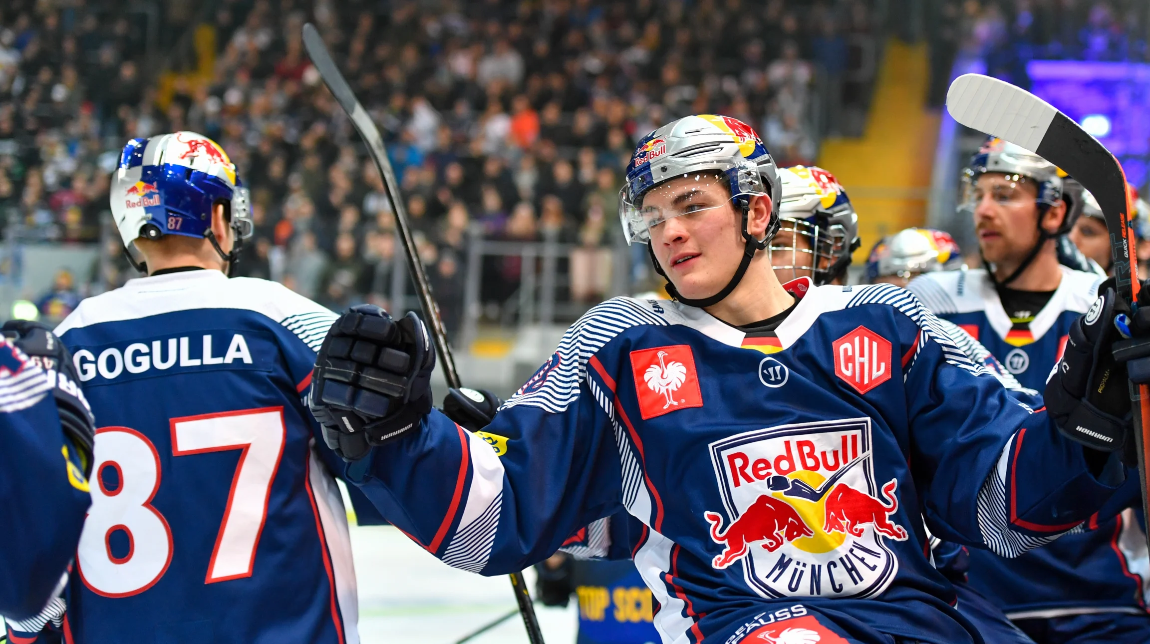 Ред булл мюнхен прогноз. Ред булл мюнхен прогноз. Ред булл мюнхен прогноз. Хк ред булл мюнхен. Хк ред булл зальцбург.