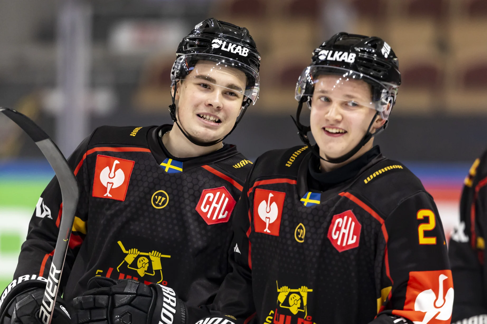 Aalborg Pirates - Champions Hockey League Shop powered by Warrior