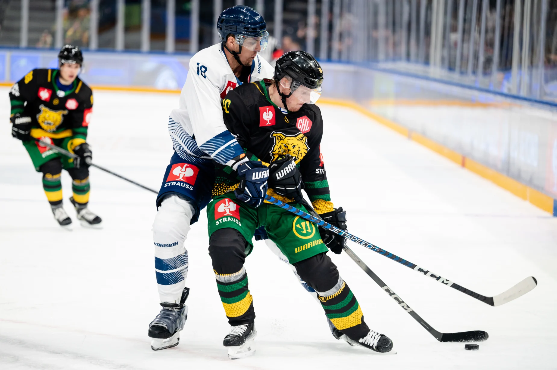 Lahti Pelicans - Champions Hockey League Shop powered by Warrior