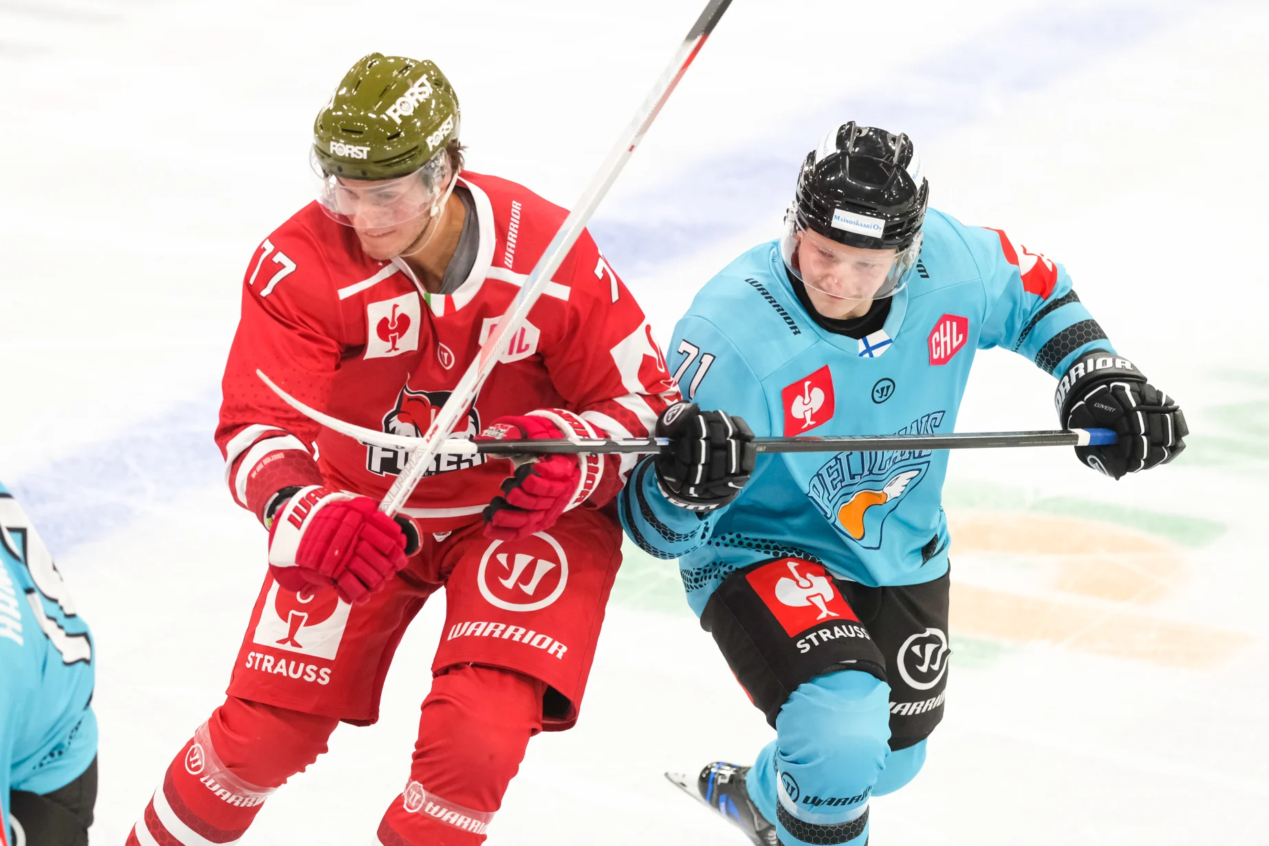 Lahti Pelicans - Champions Hockey League Shop powered by Warrior