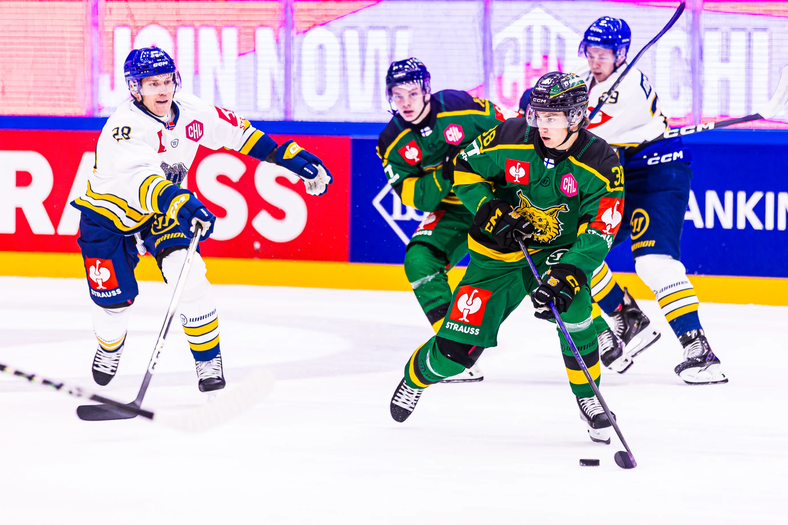 Queenie @queenie1601 0 0 6 @Queenie1601 Hump me Queenie.