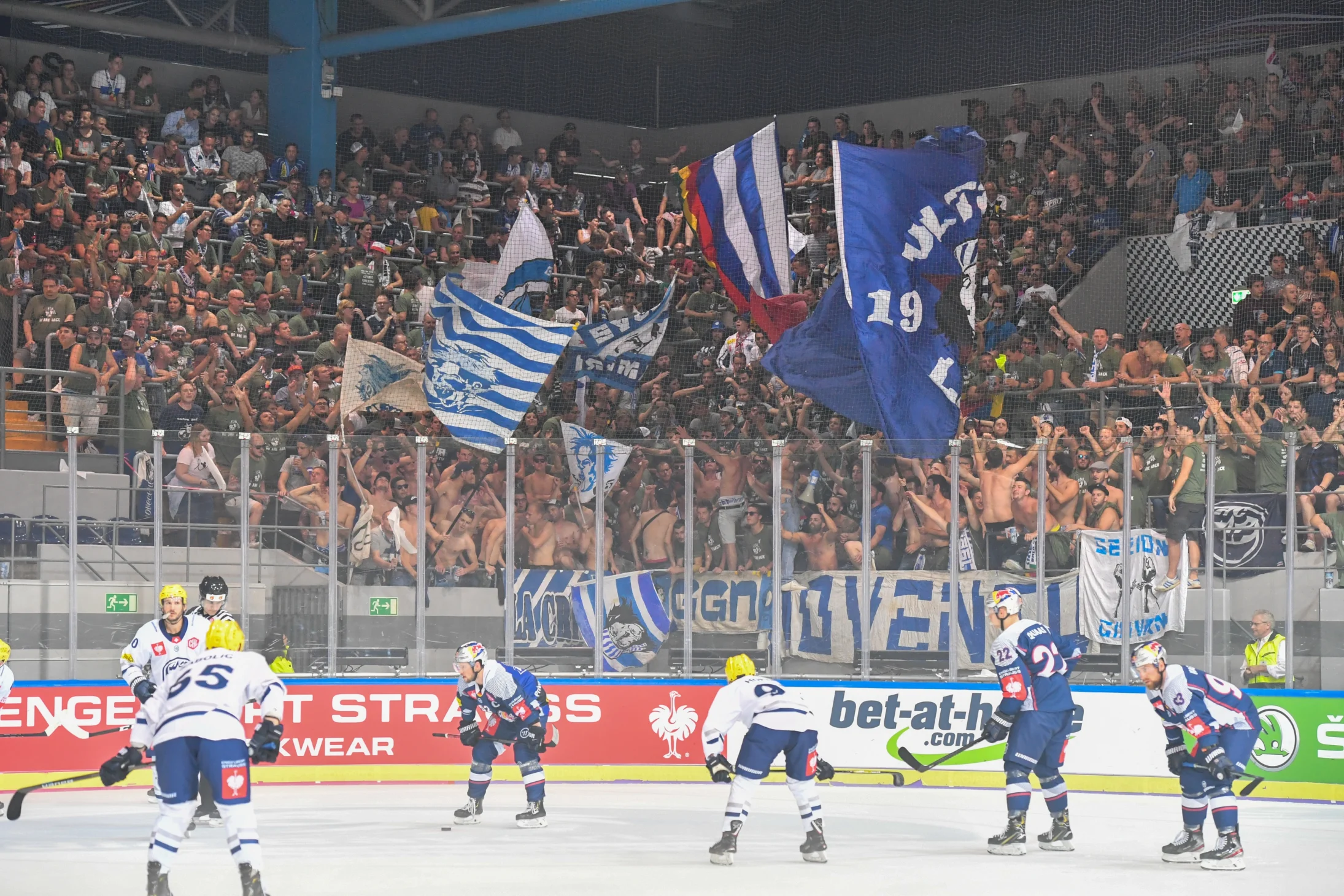Hockey Fans